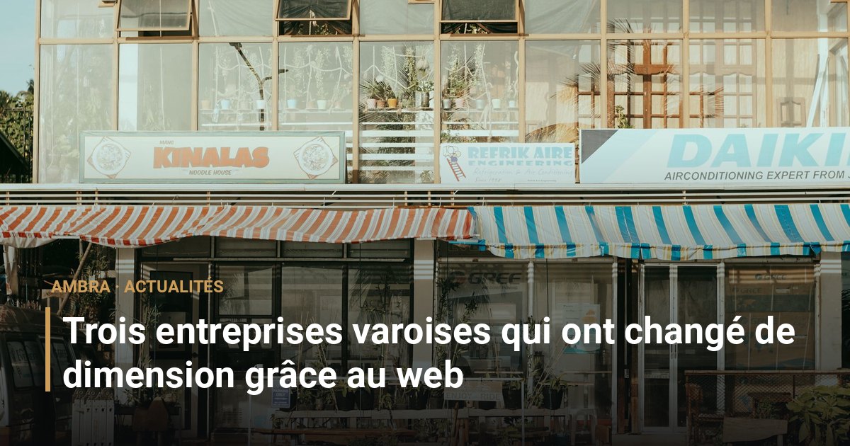 Trois entreprises varoises qui ont changé de dimension grâce au web