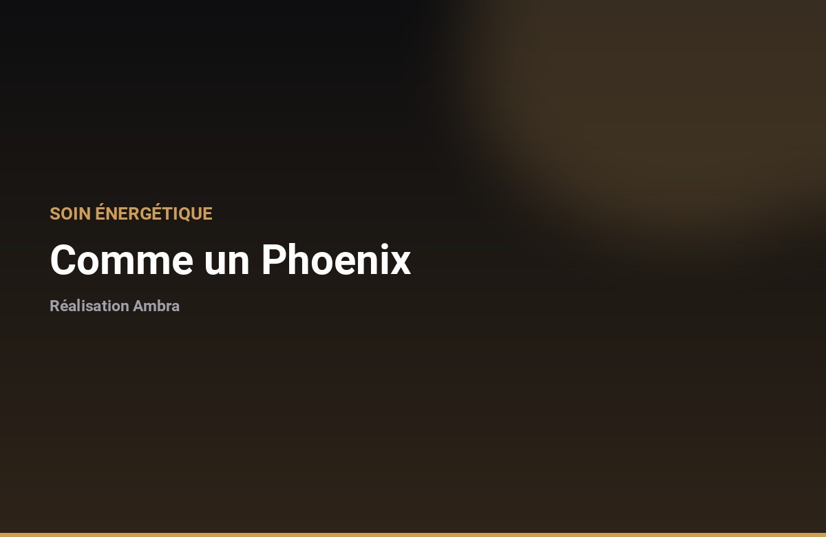 Réalisation Ambra · Comme un Phoenix